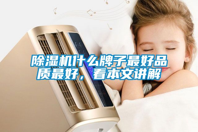 除濕機(jī)什么牌子最好品質(zhì)最好，看本文講解