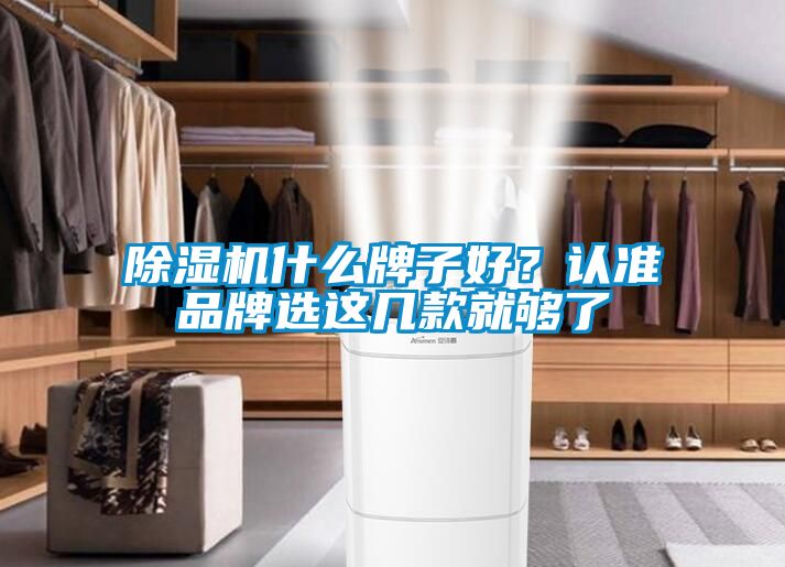 除濕機(jī)什么牌子好？認(rèn)準(zhǔn)品牌選這幾款就夠了