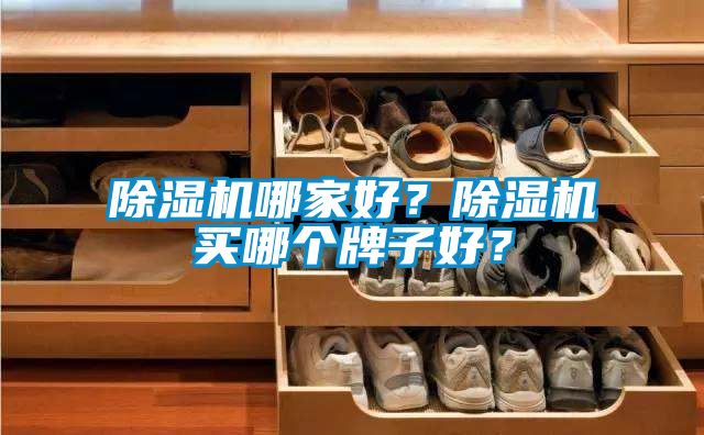 除濕機(jī)哪家好？除濕機(jī)買(mǎi)哪個(gè)牌子好？