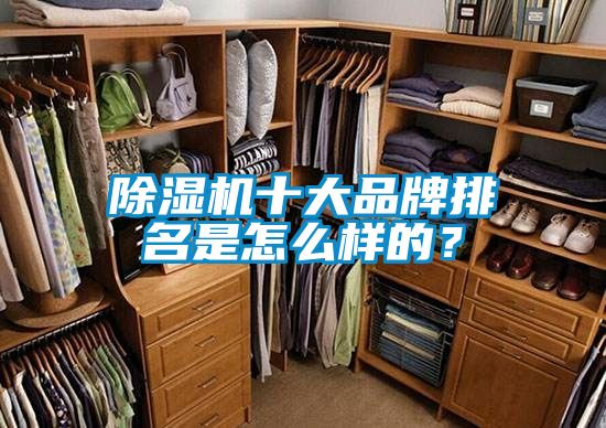 除濕機(jī)十大品牌排名是怎么樣的？