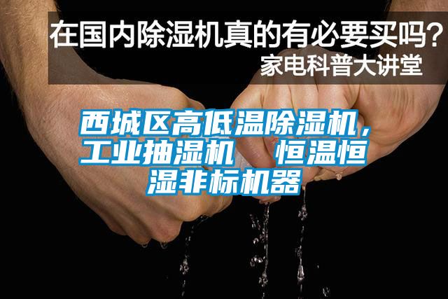 西城區(qū)高低溫除濕機，工業(yè)抽濕機  恒溫恒濕非標機器
