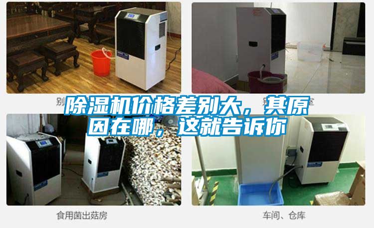 除濕機(jī)價(jià)格差別大，其原因在哪，這就告訴你