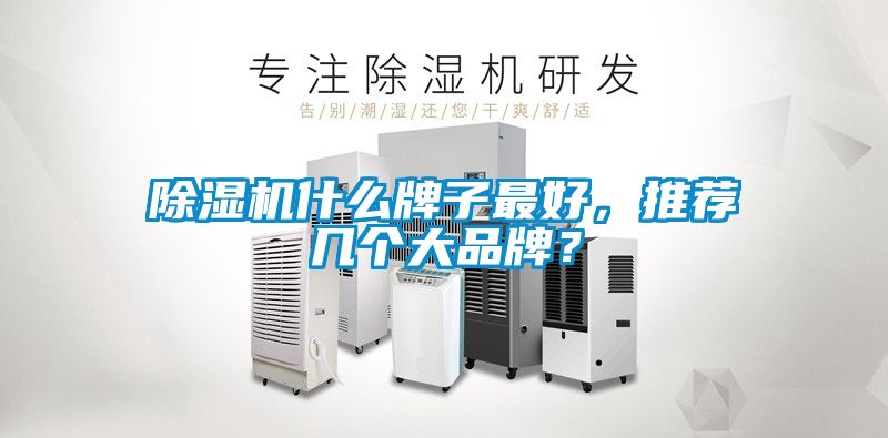 除濕機(jī)什么牌子最好，推薦幾個(gè)大品牌？