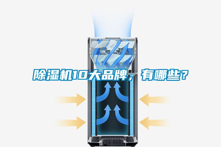 除濕機(jī)10大品牌，有哪些？