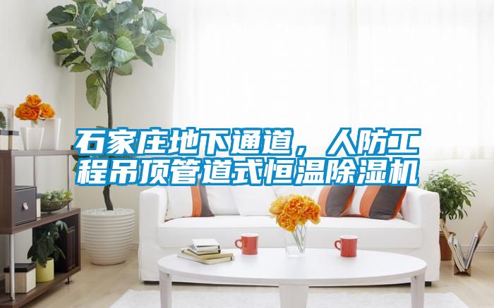 石家莊地下通道，人防工程吊頂管道式恒溫除濕機(jī)