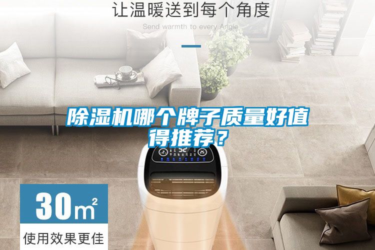 除濕機哪個牌子質(zhì)量好值得推薦？
