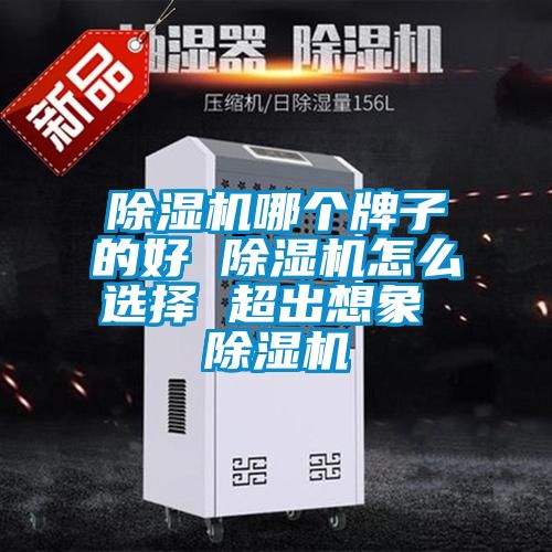 除濕機(jī)哪個牌子的好 除濕機(jī)怎么選擇 超出想象 除濕機(jī)