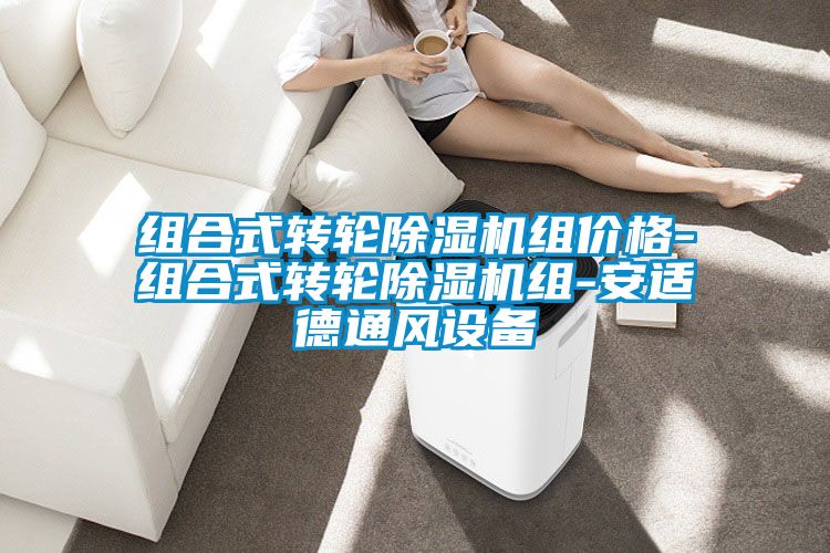 組合式轉(zhuǎn)輪除濕機組價格-組合式轉(zhuǎn)輪除濕機組-安適德通風(fēng)設(shè)備