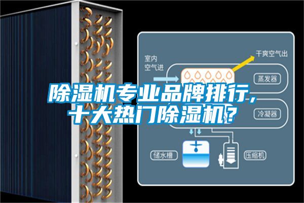 除濕機(jī)專業(yè)品牌排行,十大熱門(mén)除濕機(jī)？