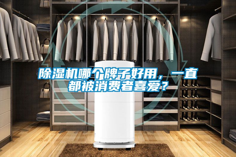 除濕機哪個牌子好用，一直都被消費者喜愛？
