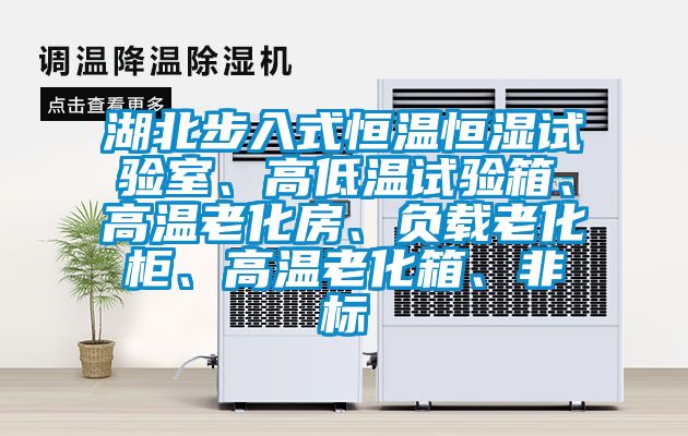 湖北步入式恒溫恒濕試驗(yàn)室、高低溫試驗(yàn)箱、高溫老化房、負(fù)載老化柜、高溫老化箱、非標(biāo)