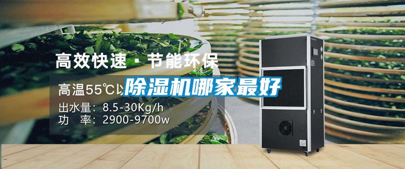 除濕機(jī)哪家最好