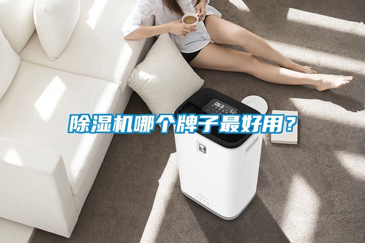 除濕機哪個牌子最好用？