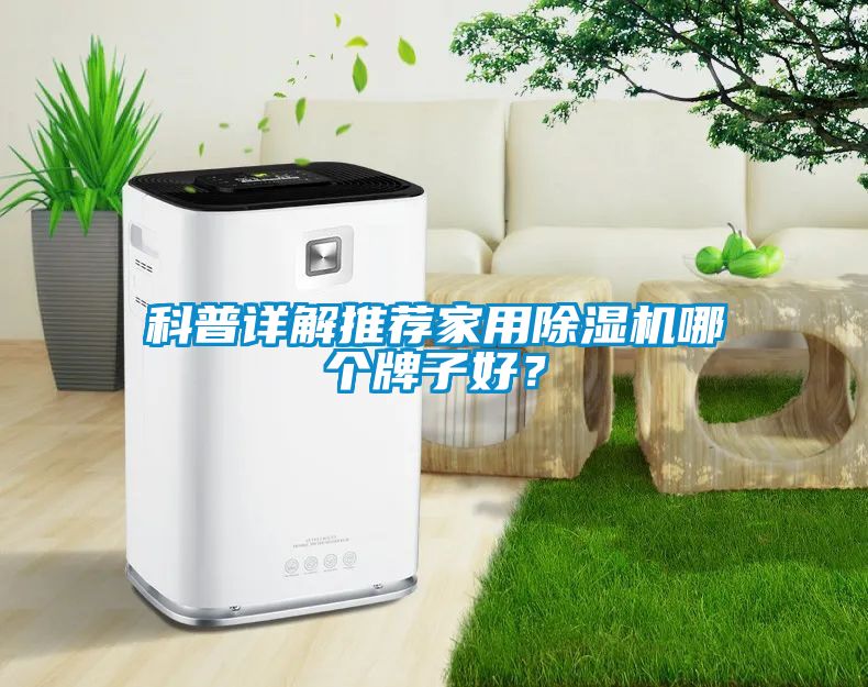 科普詳解推薦家用除濕機(jī)哪個牌子好？