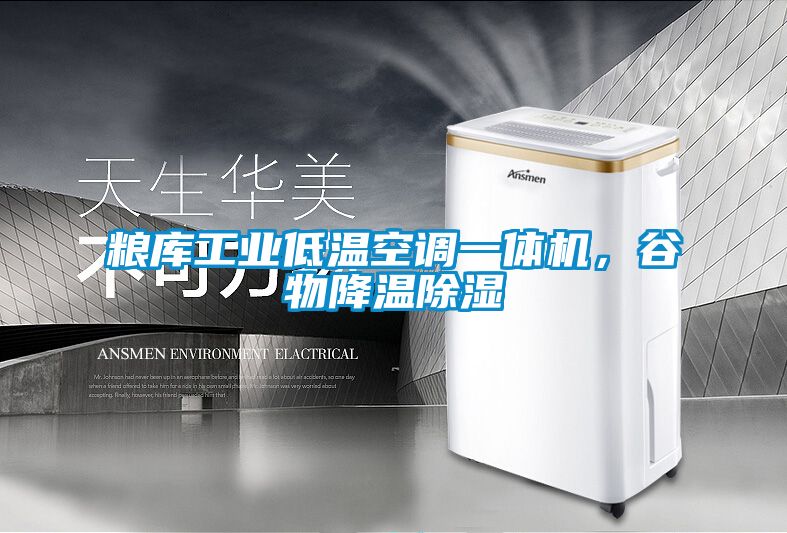 糧庫(kù)工業(yè)低溫空調(diào)一體機(jī)，谷物降溫除濕