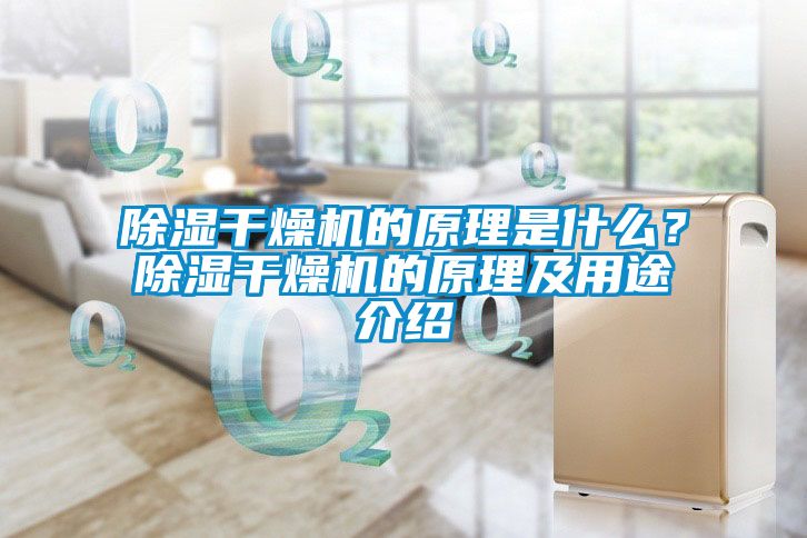 除濕干燥機(jī)的原理是什么？除濕干燥機(jī)的原理及用途介紹