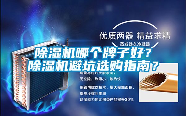除濕機哪個牌子好？除濕機避坑選購指南？