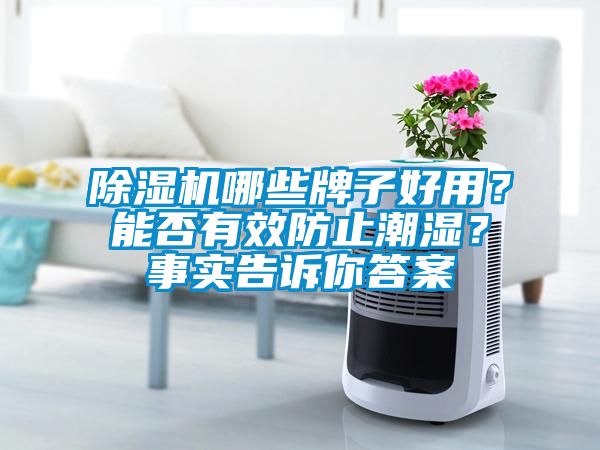 除濕機(jī)哪些牌子好用？能否有效防止潮濕？事實(shí)告訴你答案