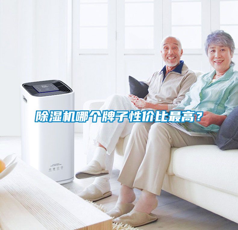 除濕機(jī)哪個牌子性價(jià)比最高？