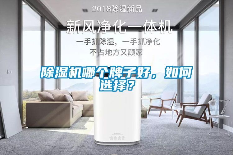 除濕機哪個牌子好，如何選擇？