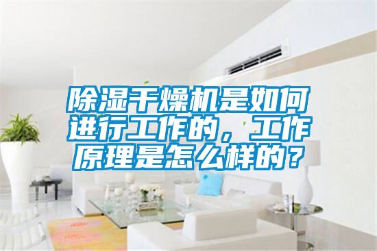 除濕干燥機(jī)是如何進(jìn)行工作的，工作原理是怎么樣的？