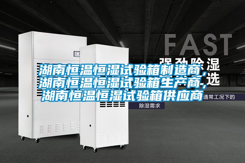 湖南恒溫恒濕試驗箱制造商，湖南恒溫恒濕試驗箱生產(chǎn)商，湖南恒溫恒濕試驗箱供應商