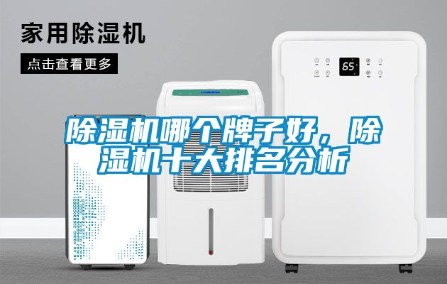 除濕機哪個牌子好，除濕機十大排名分析