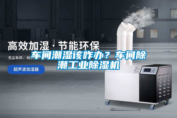 車間潮濕該咋辦？車間除潮工業(yè)除濕機