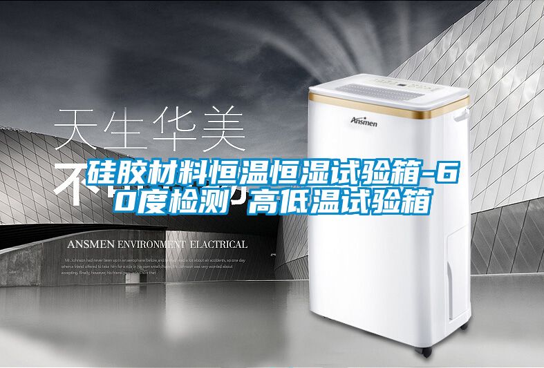 硅膠材料恒溫恒濕試驗(yàn)箱-60度檢測 高低溫試驗(yàn)箱