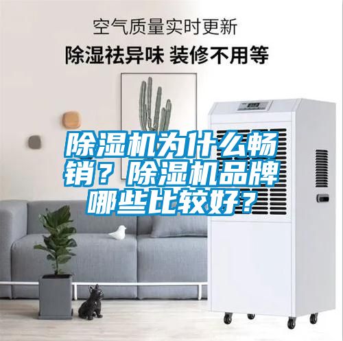 除濕機(jī)為什么暢銷(xiāo)？除濕機(jī)品牌哪些比較好？