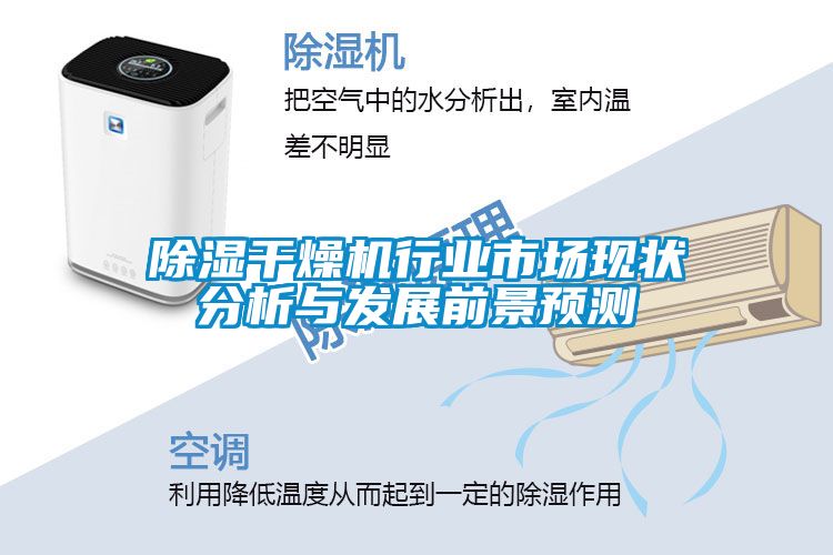 除濕干燥機(jī)行業(yè)市場現(xiàn)狀分析與發(fā)展前景預(yù)測