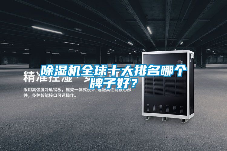 除濕機全球十大排名哪個牌子好？