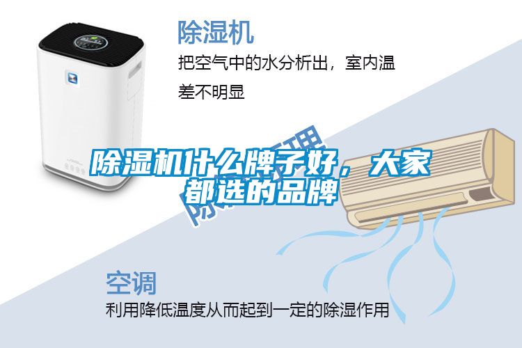 除濕機什么牌子好，大家都選的品牌