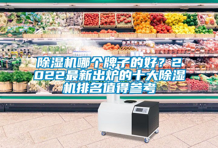 除濕機(jī)哪個(gè)牌子的好？2022最新出爐的十大除濕機(jī)排名值得參考