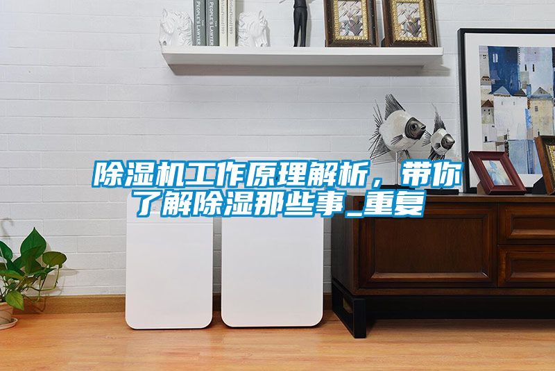 除濕機(jī)工作原理解析，帶你了解除濕那些事_重復(fù)
