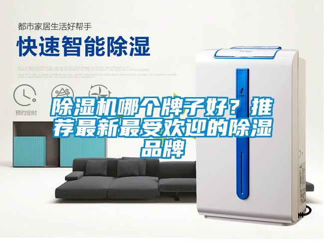 除濕機(jī)哪個(gè)牌子好？推薦最新最受歡迎的除濕品牌