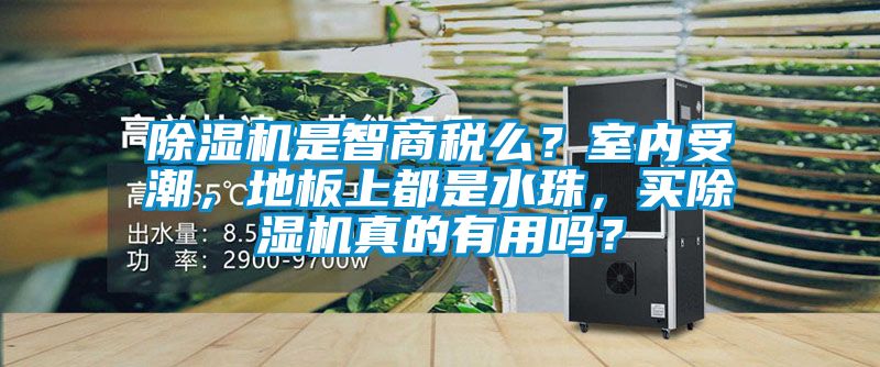除濕機(jī)是智商稅么？室內(nèi)受潮，地板上都是水珠，買除濕機(jī)真的有用嗎？