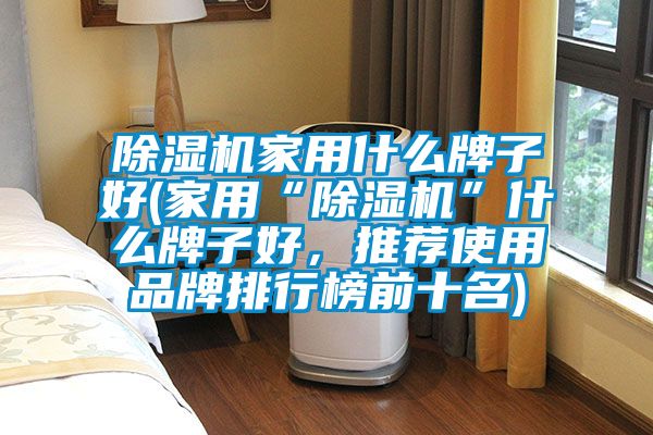 除濕機(jī)家用什么牌子好(家用“除濕機(jī)”什么牌子好，推薦使用品牌排行榜前十名)