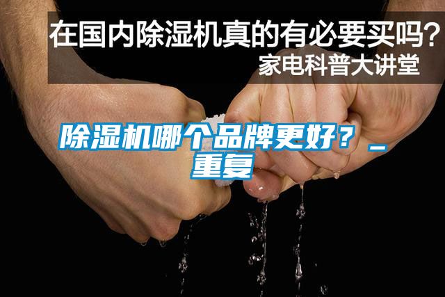 除濕機哪個品牌更好？_重復