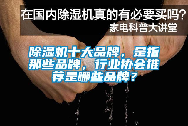 除濕機(jī)十大品牌，是指那些品牌，行業(yè)協(xié)會推薦是哪些品牌？