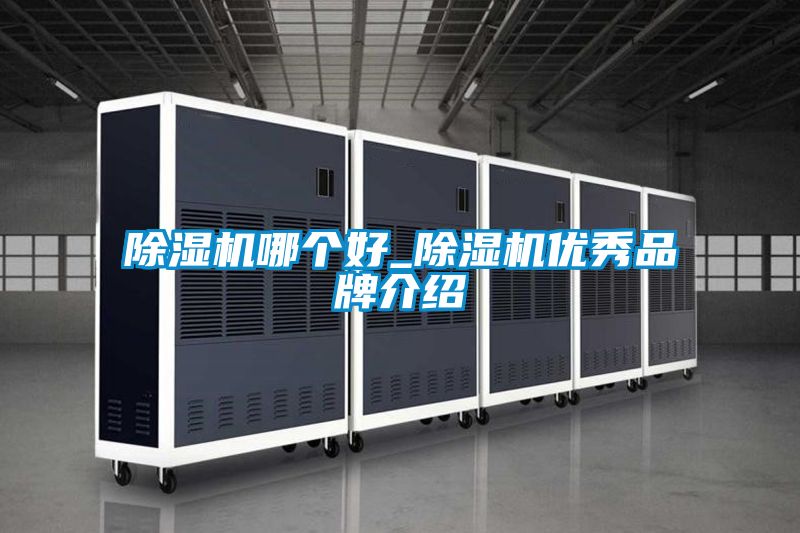 除濕機(jī)哪個好_除濕機(jī)優(yōu)秀品牌介紹