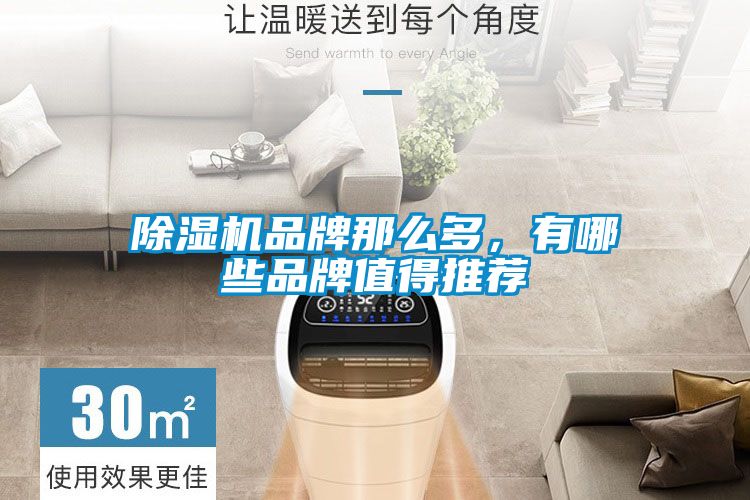 除濕機品牌那么多，有哪些品牌值得推薦