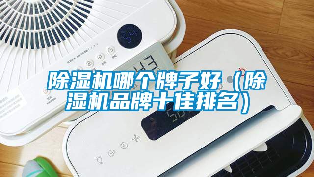 除濕機(jī)哪個牌子好（除濕機(jī)品牌十佳排名）