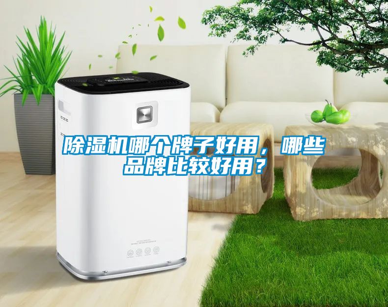 除濕機(jī)哪個(gè)牌子好用，哪些品牌比較好用？