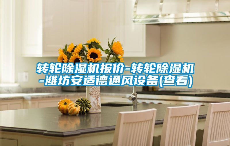 轉(zhuǎn)輪除濕機報價-轉(zhuǎn)輪除濕機-濰坊安適德通風設備(查看)