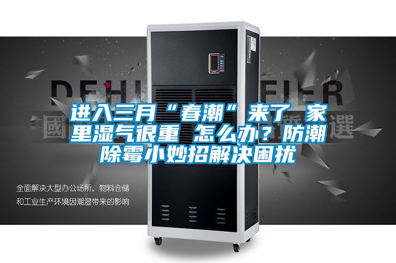 進入三月“春潮”來了 家里濕氣很重 怎么辦？防潮除霉小妙招解決困擾