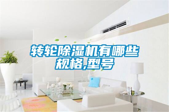 轉輪除濕機有哪些規(guī)格,型號