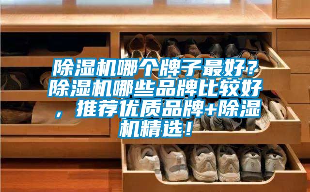除濕機哪個牌子最好？除濕機哪些品牌比較好，推薦優(yōu)質品牌+除濕機精選！