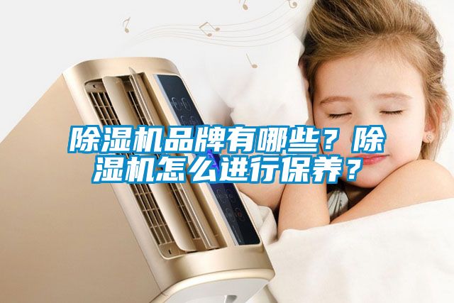 除濕機品牌有哪些？除濕機怎么進行保養(yǎng)？