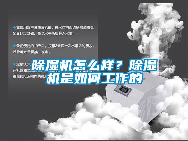 除濕機(jī)怎么樣？除濕機(jī)是如何工作的